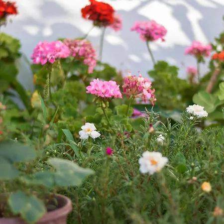 מלון דירות Kaya דטקה