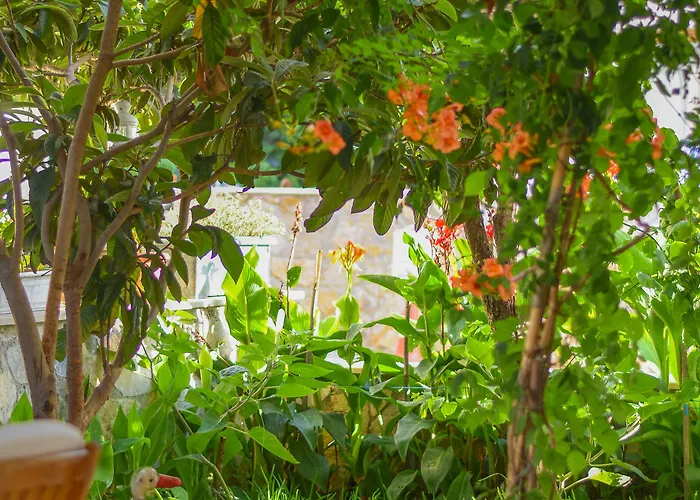 Kaya Appart hôtel 4*