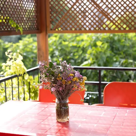 Kaya Appart hôtel Datça