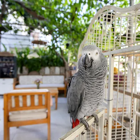 Kaya 4* ダッチャ