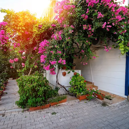 Kaya Appart hôtel Datça