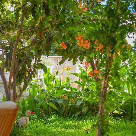 Kaya Appart hôtel 4*