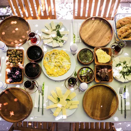Kaya 达特恰