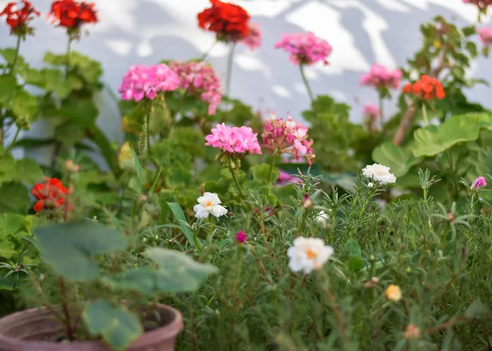 Apartmanhotel Kaya Datça