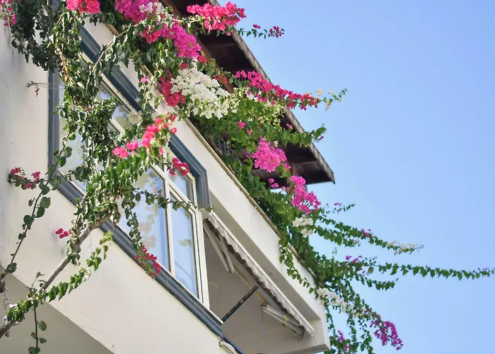 Kaya Aparthotel 4*